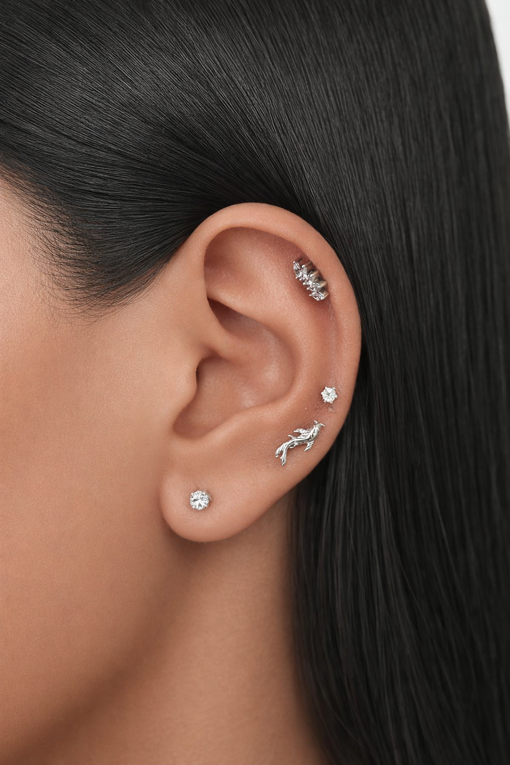 Koi Stud